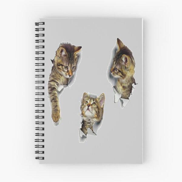Item preview,  Funny kittens designed and sold by kaliguli.