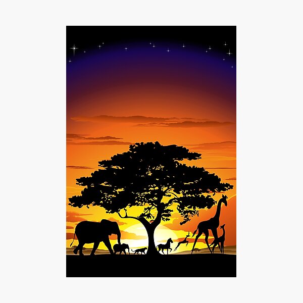 Wild Animals on African Savanna Sunset Photographic Print