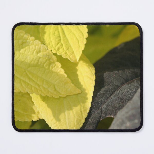 Item preview, Green / Black Leaves designed and sold by XCEEDTRANSITION.