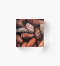 Whole cocoa beans in macro Acrylic Block