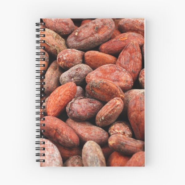 Item preview, Whole cocoa beans in macro designed and sold by vitoriaholdings.