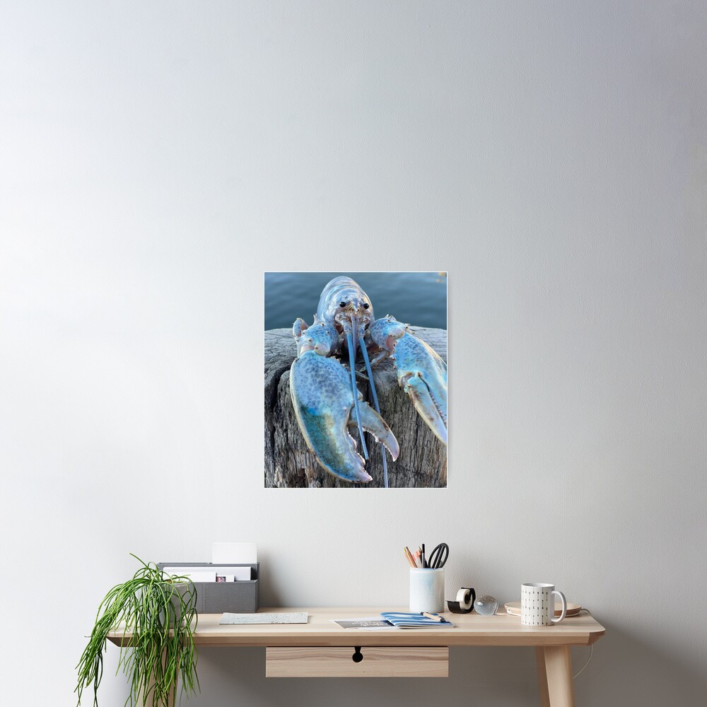 "blue lobster jumpscare meme" Poster for Sale by yeahiranian Redbubble