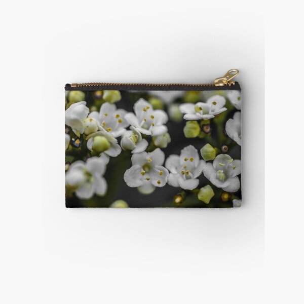 Item preview, POSSIBILITIES designed and sold by Michelle Lee Blatt.
