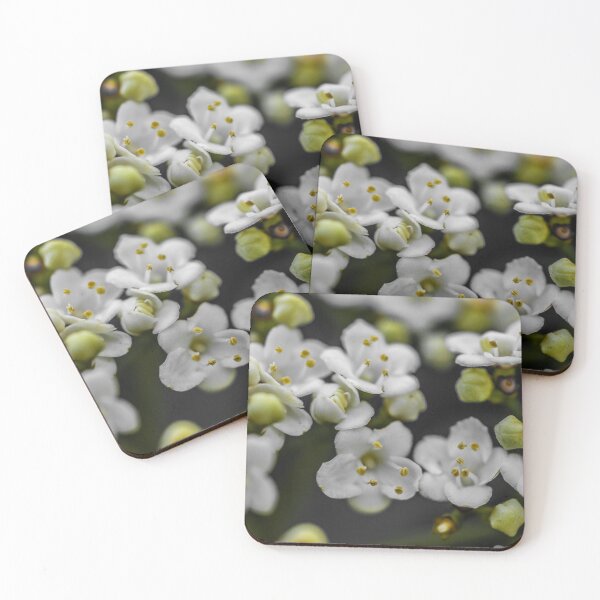 Item preview, POSSIBILITIES designed and sold by Michelle Lee Blatt.
