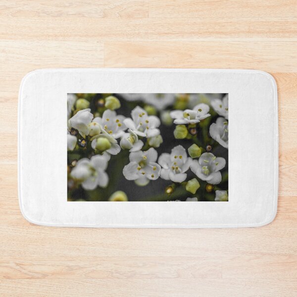 Item preview, POSSIBILITIES designed and sold by Michelle Lee Blatt.