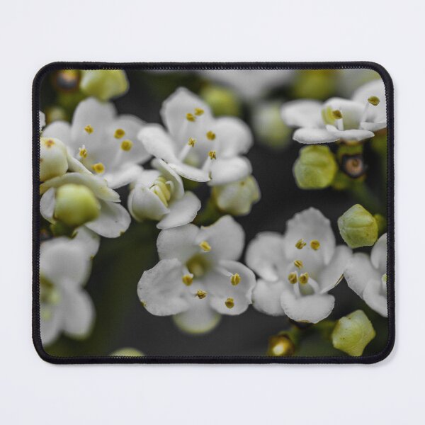 Item preview, POSSIBILITIES designed and sold by Michelle Lee Blatt.