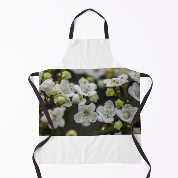 Item preview, POSSIBILITIES designed and sold by Michelle Lee Blatt.