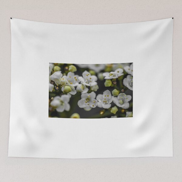 Item preview, POSSIBILITIES designed and sold by Michelle Lee Blatt.