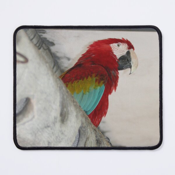 Item preview, Red Parrot designed and sold by XCEEDTRANSITION.
