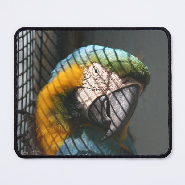 Item preview, Parrot Bird designed and sold by XCEEDTRANSITION.