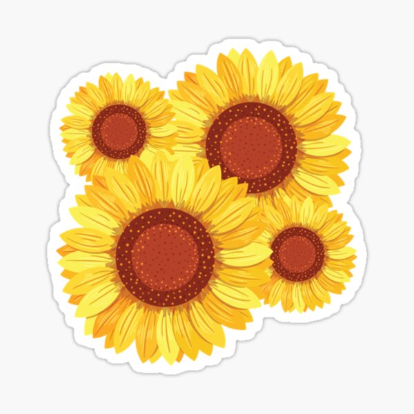 "Sunflower Florist Flowers " Sticker for Sale by SaumuelDarby Redbubble
