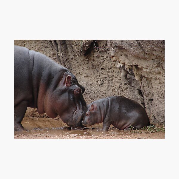 Gotta Love The Baby Photographic Print