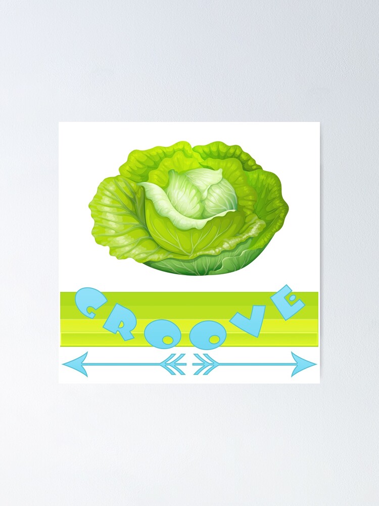 "Lettuce Groove Corny Silly Festival Funky Jam Band Lettuce Band