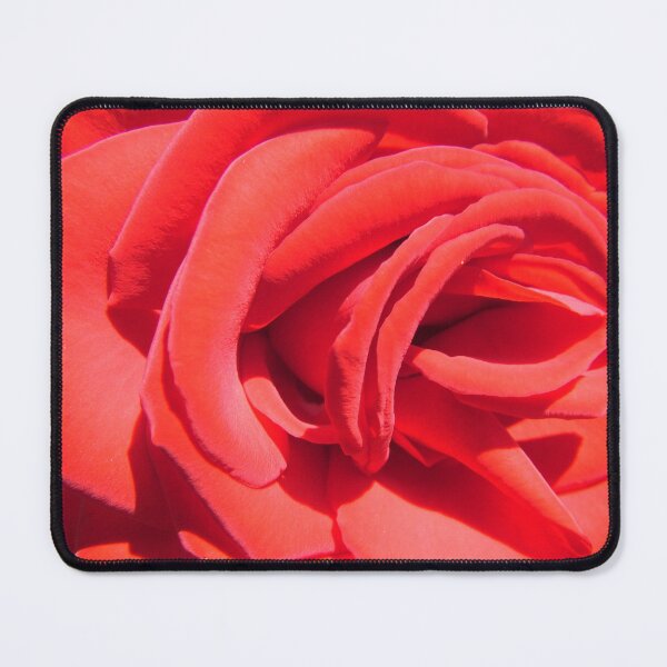 Item preview, Pretty red rose flower close up photography designed and sold by naturematters.