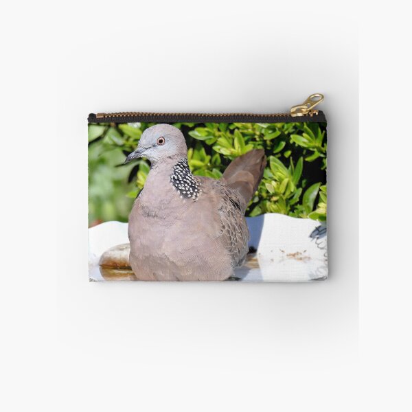 Item preview, Spotted Malay Dove - Southland designed and sold by AndreaEL.