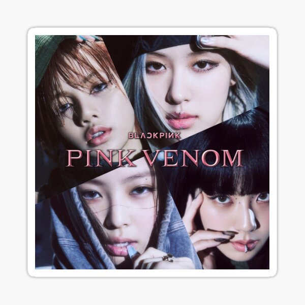 BLACKPINK PINK VENOM VINYL STICKERS - STICKERS/KPOP - group-mink-studio-en