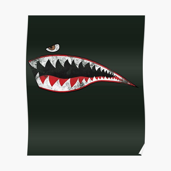 "Designed for Flight Shark Teeth P-40 Warhawk Nose Art WWII WW2
