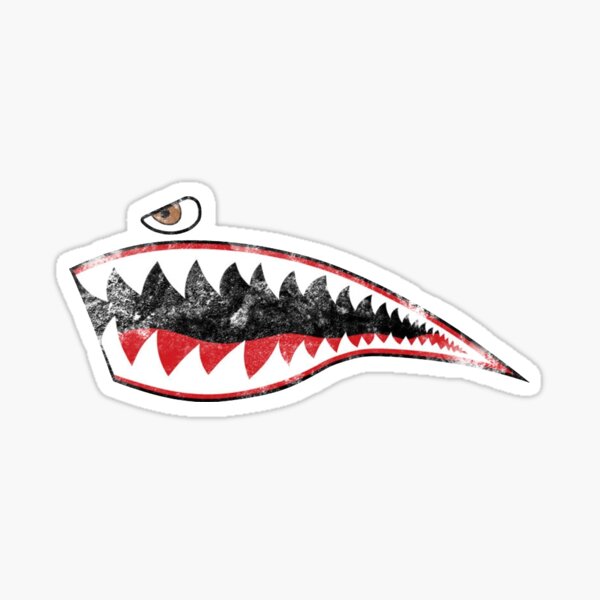 "Designed for Flight Shark Teeth P-40 Warhawk Nose Art WWII WW2