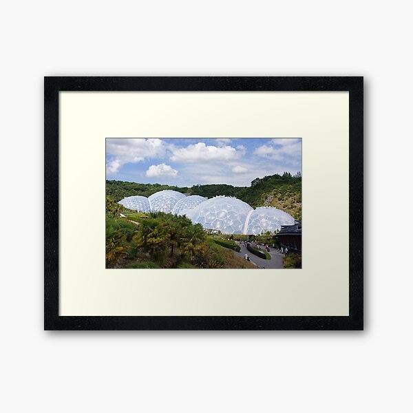 The Eden Project Framed Art Print