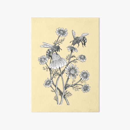 bees and chamomile on honey background Art Board Print