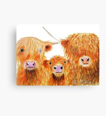 WE 3 COOS Canvas Print
