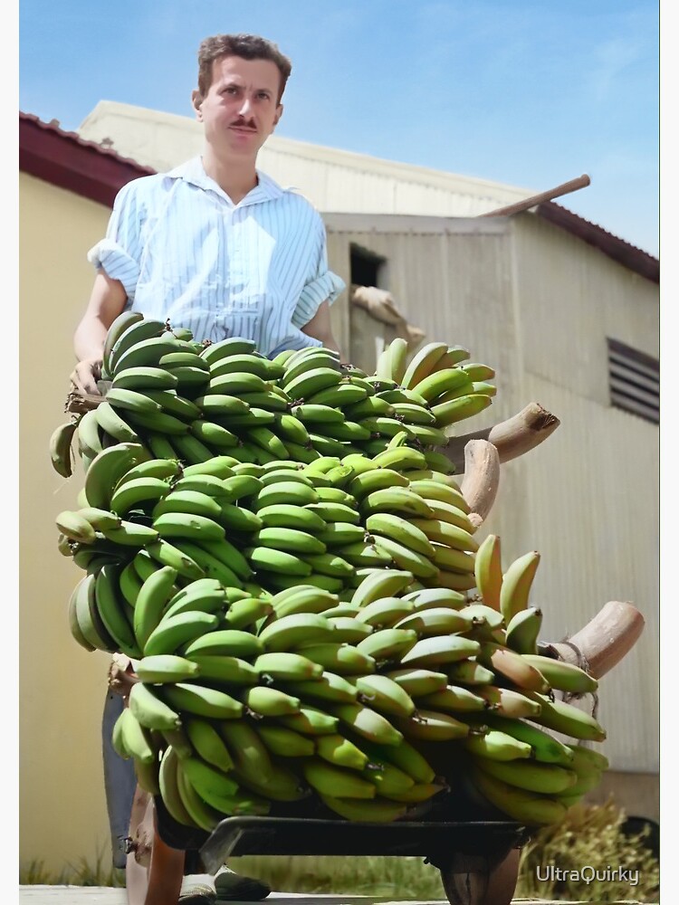Israel, Kfar Shmaryahu. Bananas. 1940. by UltraQuirky