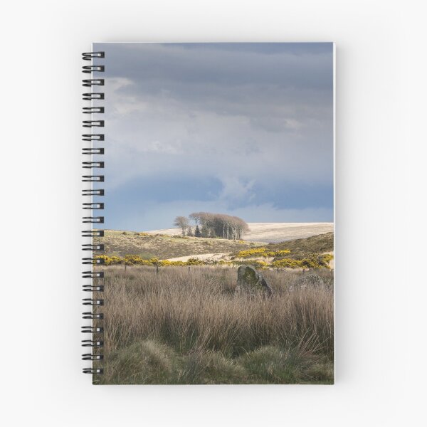 Item preview, Brooding skies over a copse designed and sold by Judi Lion.