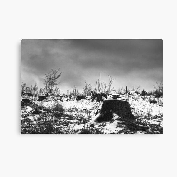 Tree Cemetery Canvas Print
