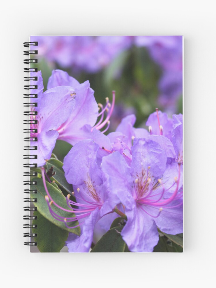 Cuaderno de espiral «Fotografía de flor de azalea púrpura.» de  naturematters | Redbubble