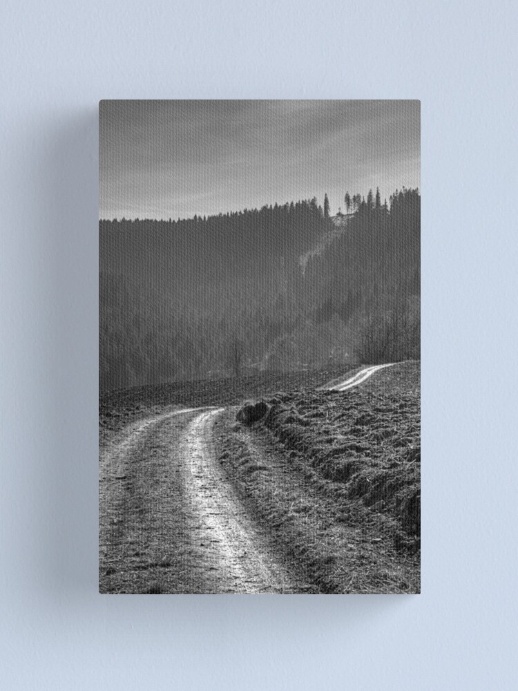 Alternate view of Road Canvas Print