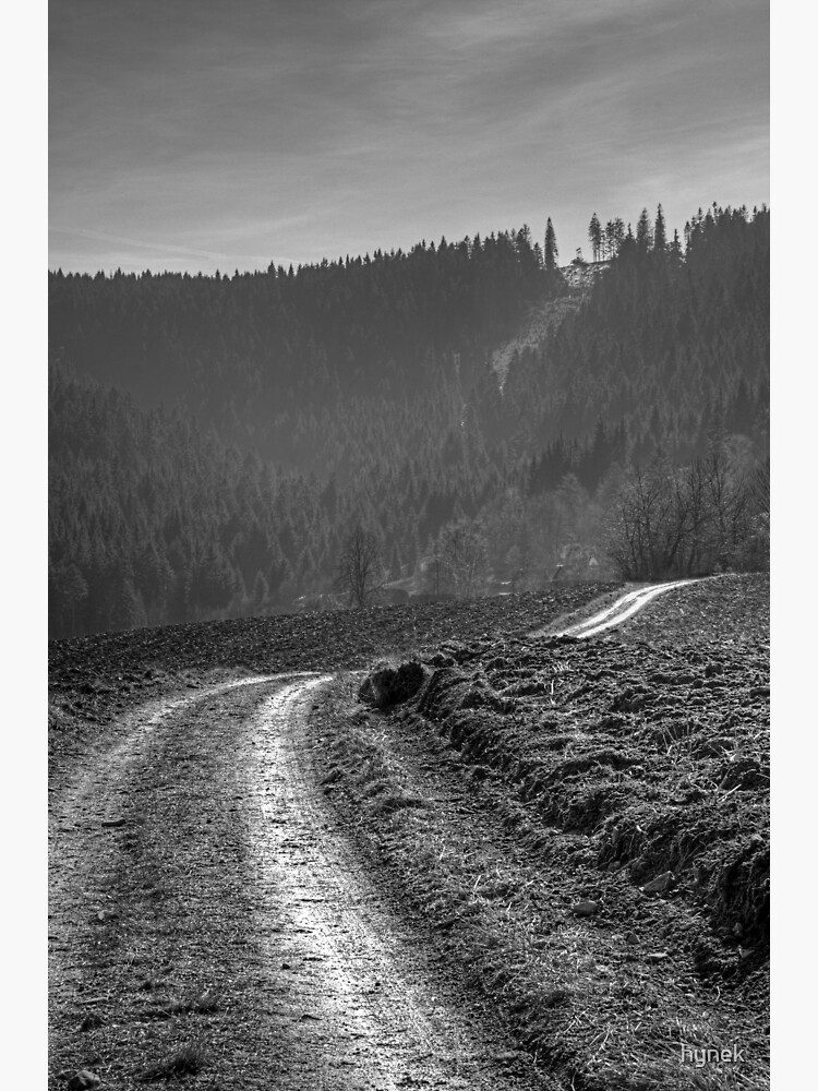 Road by hynek