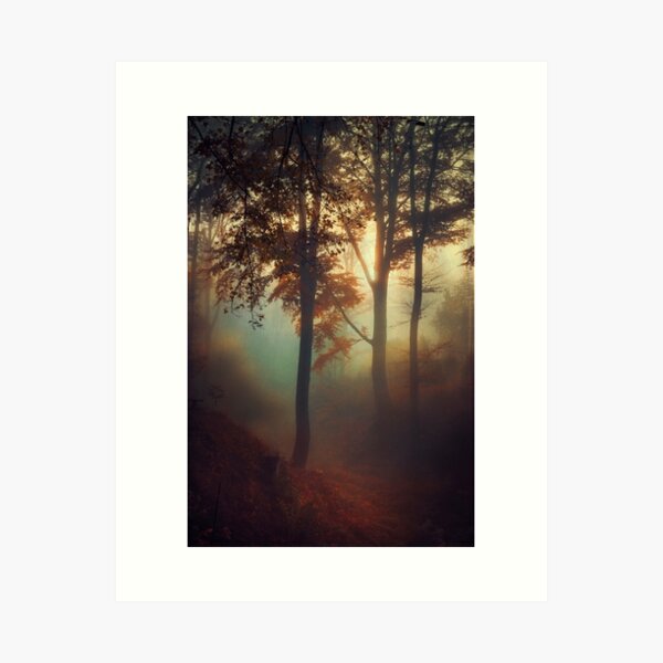 Aperçu de l'œuvre Fog Pit - Lever du soleil de la forêt en novembre créée et vendue par Dyrk Wyst Redbubble Shop.