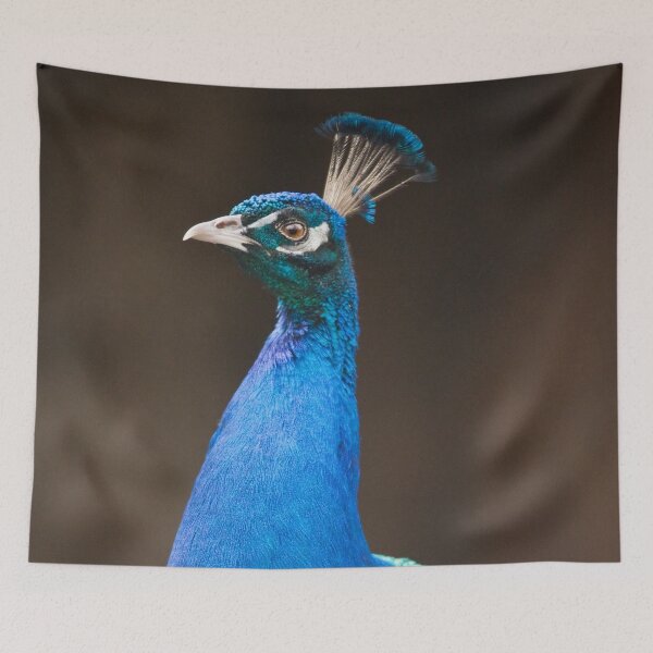 Item preview, Male Indian Peafowl designed and sold by Dominika Aniola.