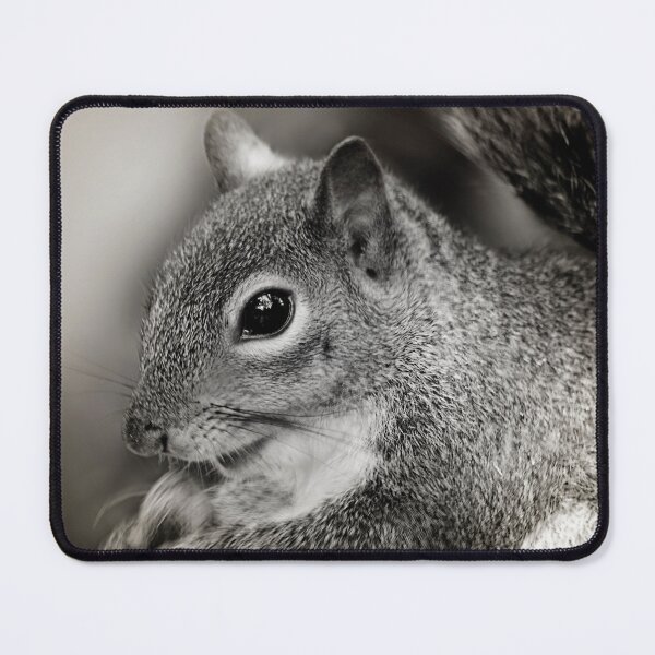 Item preview, Desaturated Squirrel Closeup  designed and sold by KbytesOfJax Outdoor and Nature.