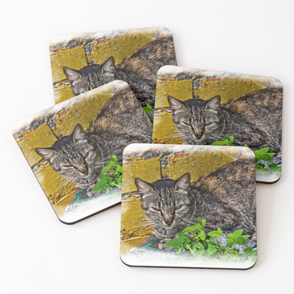 Item preview, HELP! - Adopt Rescued Dogs And Cats III designed and sold by alabca.