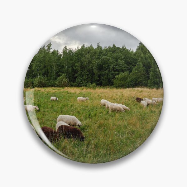 Item preview, Sheeps of the wind designed and sold by Jouko Lehto Photography.