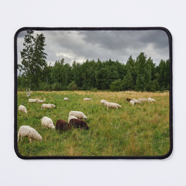 Item preview, Sheeps of the wind designed and sold by Jouko Lehto Photography.