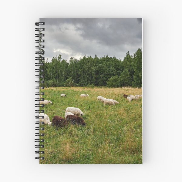 Item preview, Sheeps of the wind designed and sold by Jouko Lehto Photography.