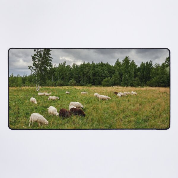 Item preview, Sheeps of the wind designed and sold by Jouko Lehto Photography.