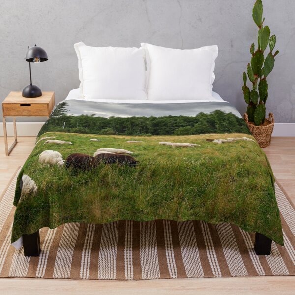 Item preview, Sheeps of the wind designed and sold by Jouko Lehto Photography.