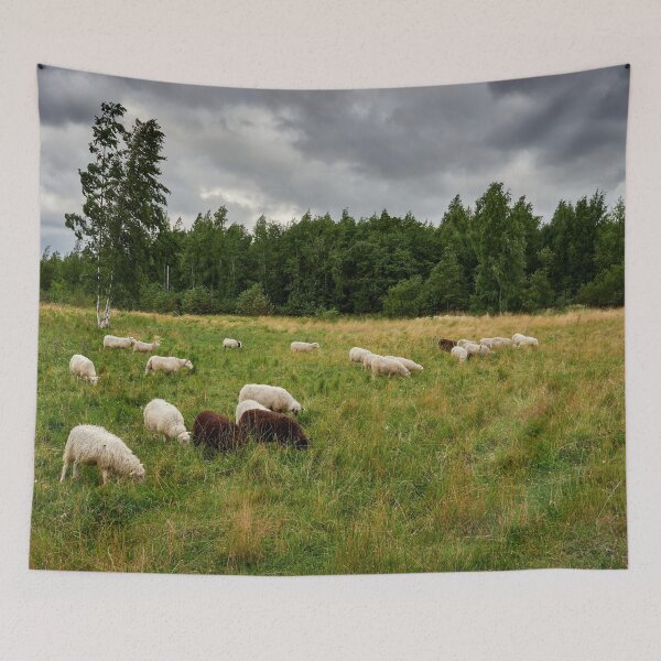 Item preview, Sheeps of the wind designed and sold by Jouko Lehto Photography.