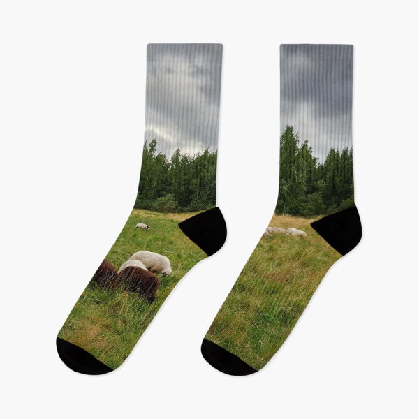 Item preview, Sheeps of the wind designed and sold by Jouko Lehto Photography.