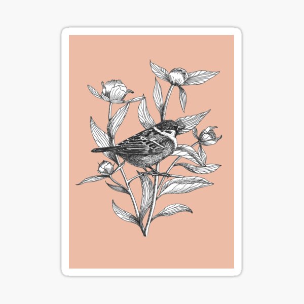ink sparrow and peonies on terracotta background Sticker
