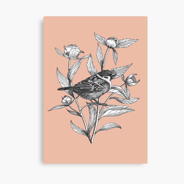 ink sparrow and peonies on terracotta background Canvas Print