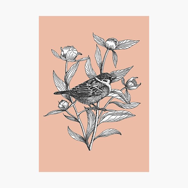 Item preview, ink sparrow and peonies on terracotta background designed and sold by EllenLambrichts.