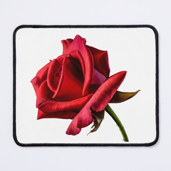 Item preview, Red Rose. Mouse Pad Customized. designed and sold by MICKSPIKS.