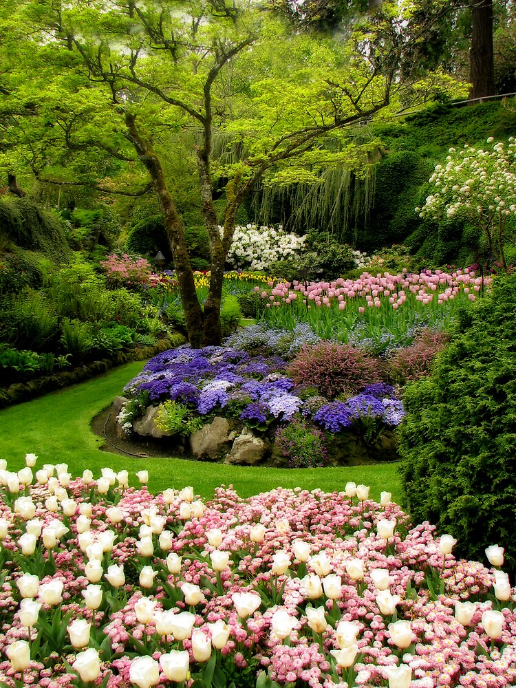 Прекрасный сад фото