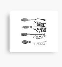 The best brooms Canvas Print