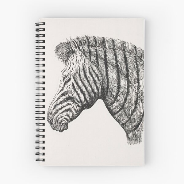 Item preview, Vintage Zebra Print designed and sold by Natural History Prints.