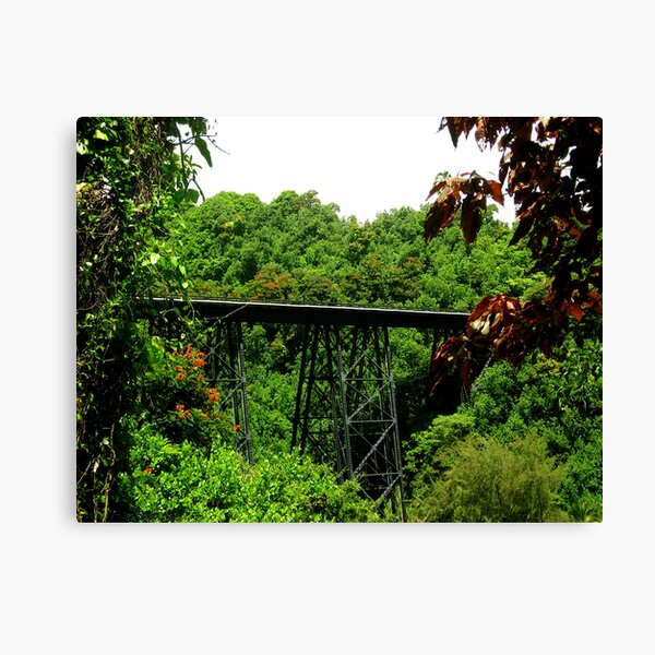 Bridge Nested In Beauty Canvas Print